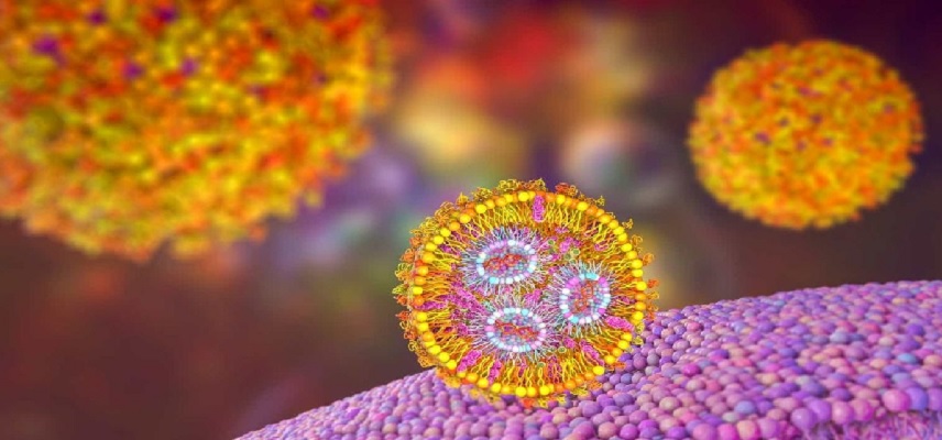 Iovance Biotherapeutics’ Amtagvi Gains Fda Approval